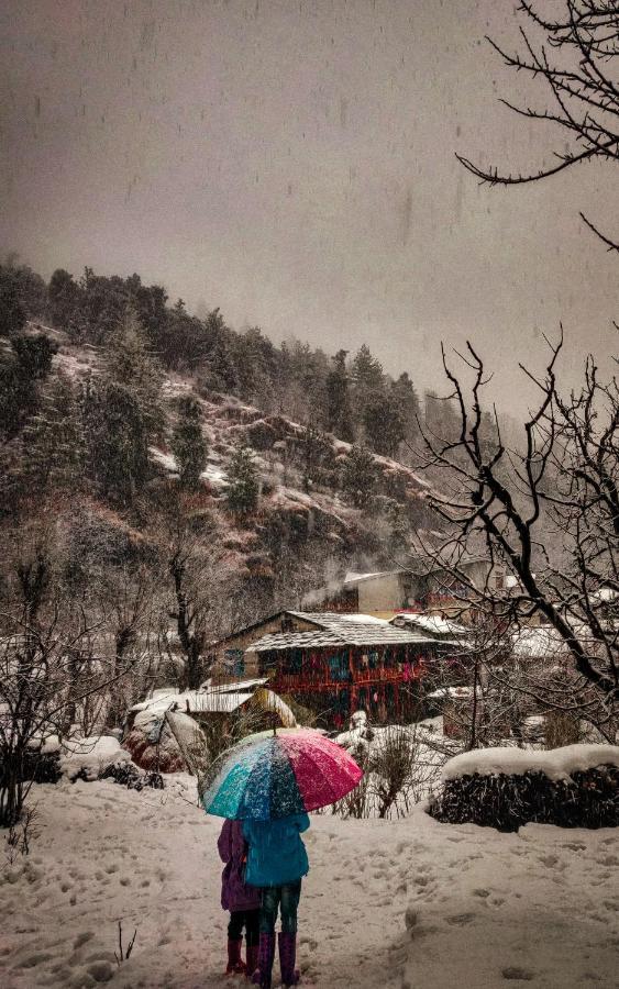 The Hosteller Manali Kültér fotó